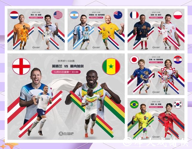 全面解析世界杯下注平台功能差异对比